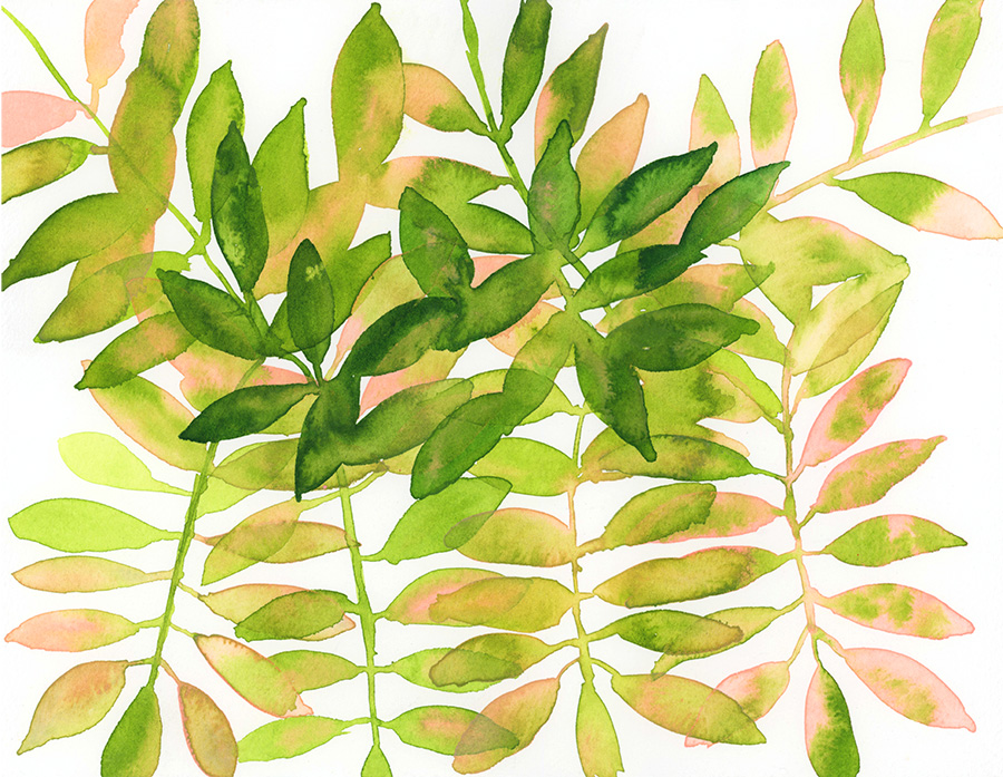 Leaves